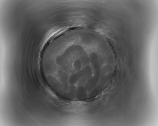 X0000086920242200704301103