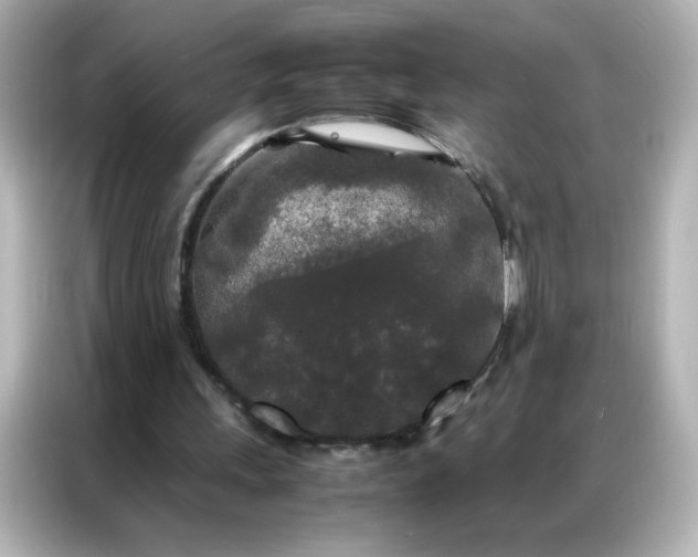 X0000086920243200704301103