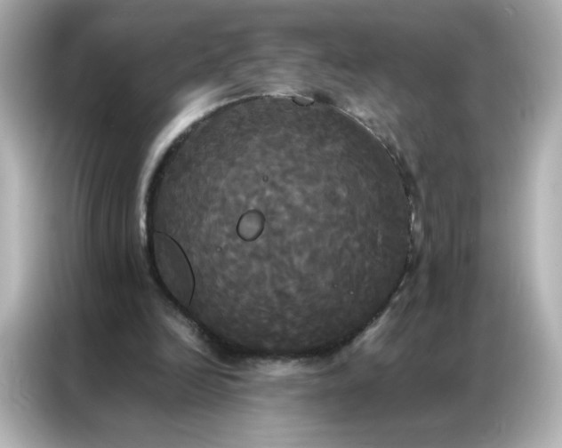 X0000086920246200704301103