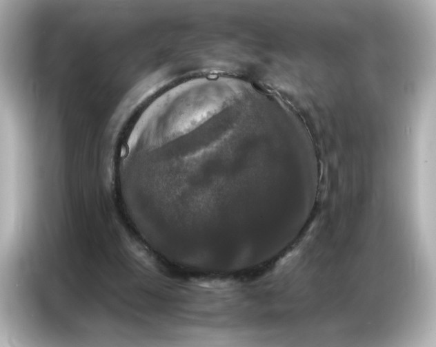 X0000086920247200704301103