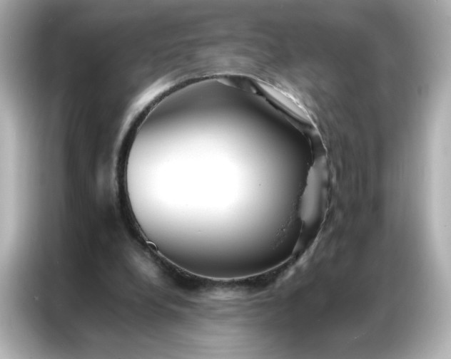 X0000086920248200704301103