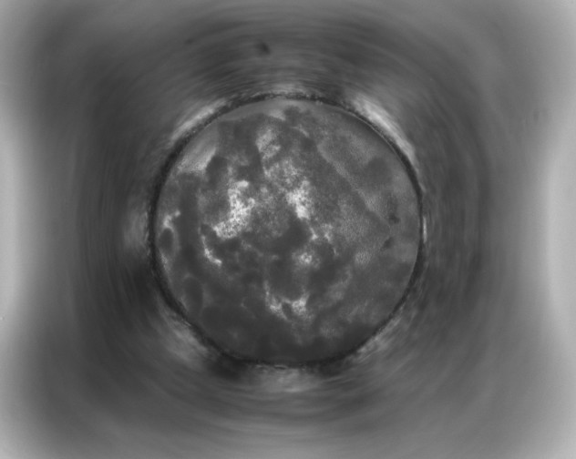 X0000086920249200704301103