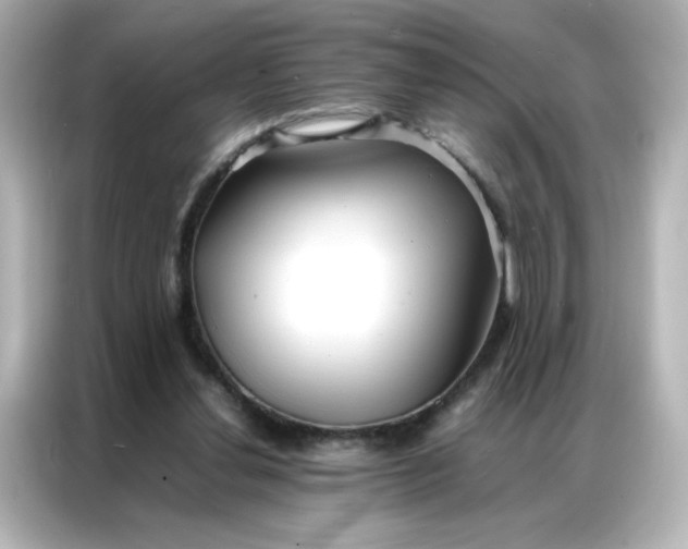 X0000086920252200704301103