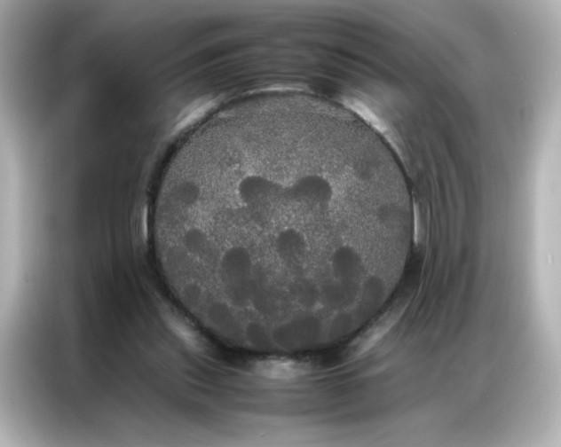 X0000086920253200704301103