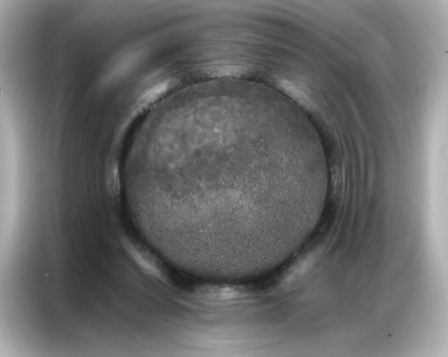 X0000086920254200704301103