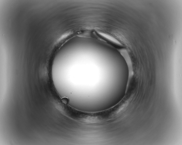 X0000086920256200704301103