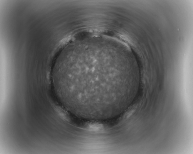 X0000086920258200704301103