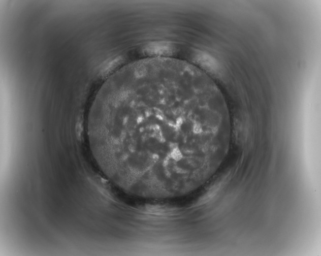 X0000086920259200704301103