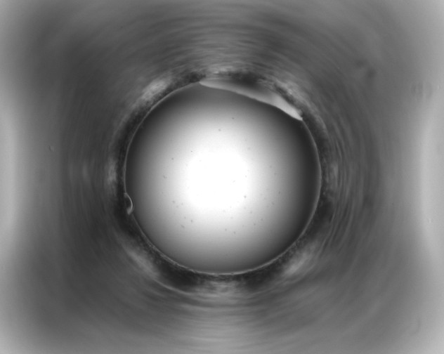 X0000086920260200704301103