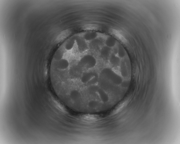 X0000086920261200704301103