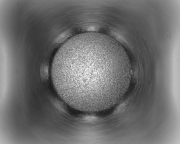 X0000086920262200704301103