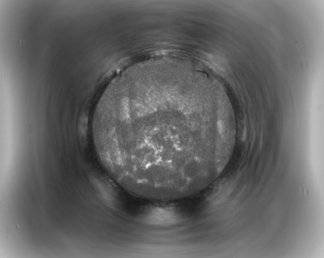 X0000086920263200704301103
