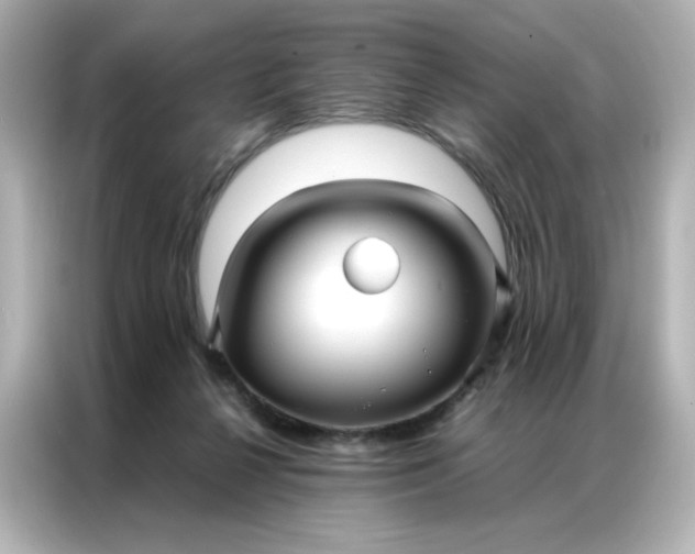 X0000086920264200704301103