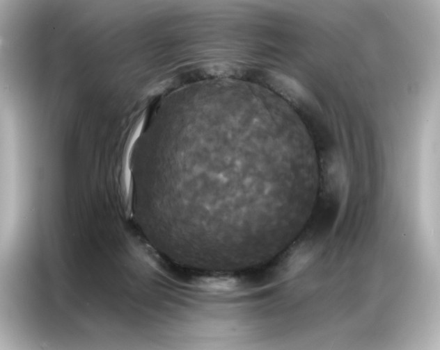 X0000086920266200704301103