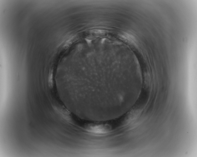 X0000086920267200704301103