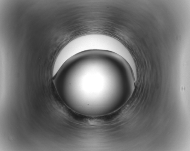 X0000086920268200704301103