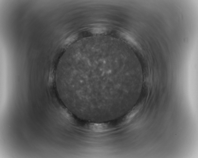 X0000086920277200704301103