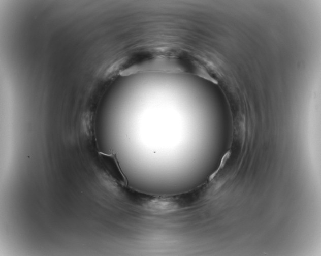 X0000086920280200704301103