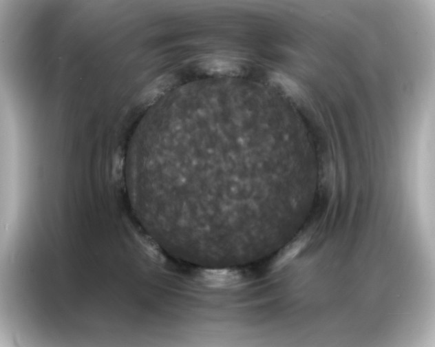 X0000086920281200704301103