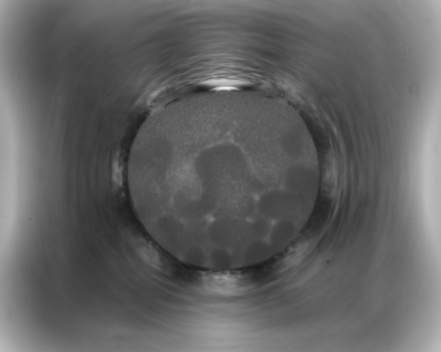 X0000086920282200704301103