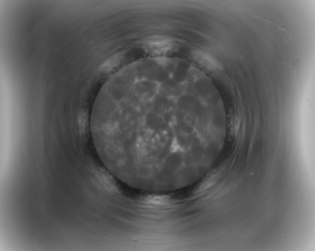 X0000086920283200704301103