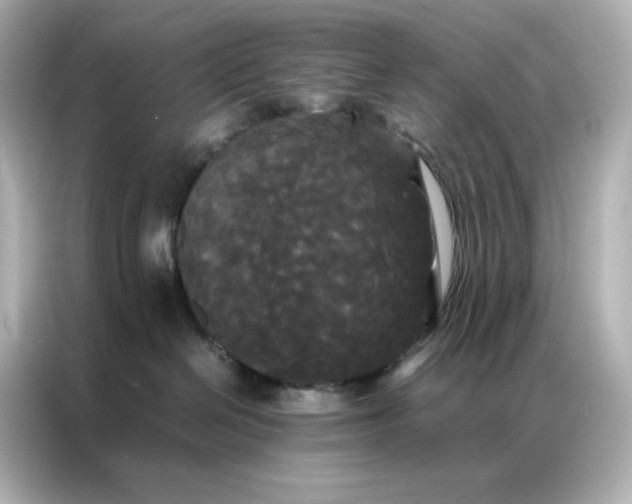 X0000086920286200704301103