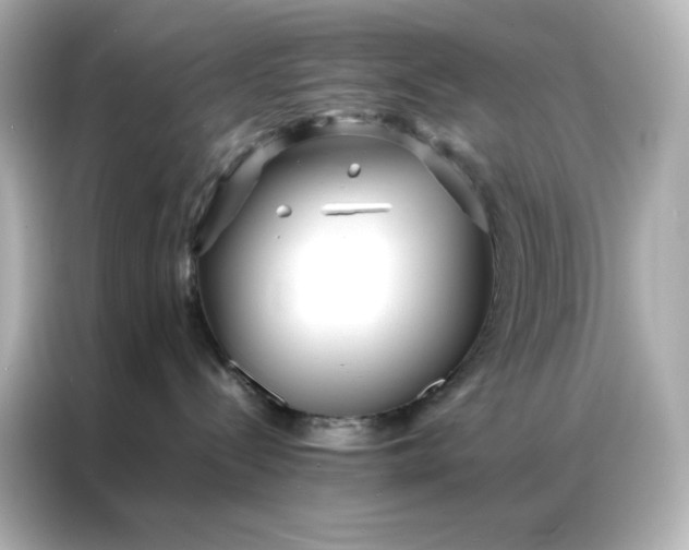 X0000086920288200704301103