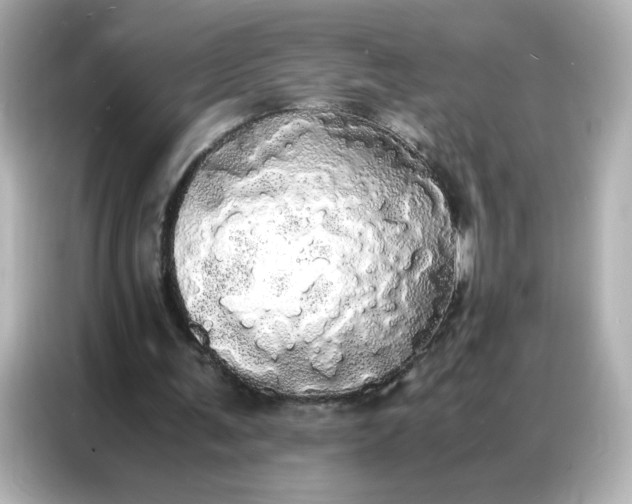 X0000086920291200704301102