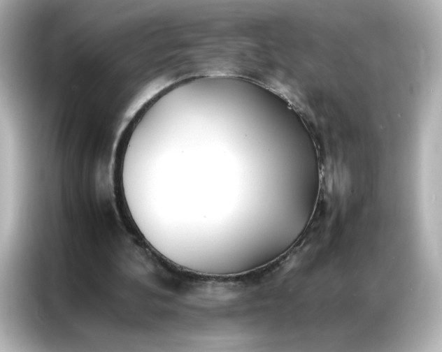 X0000086920292200704301102