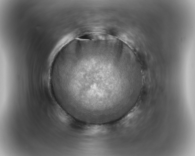 X0000086920293200704301102