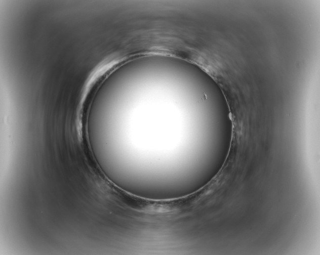 X0000086920294200704301102