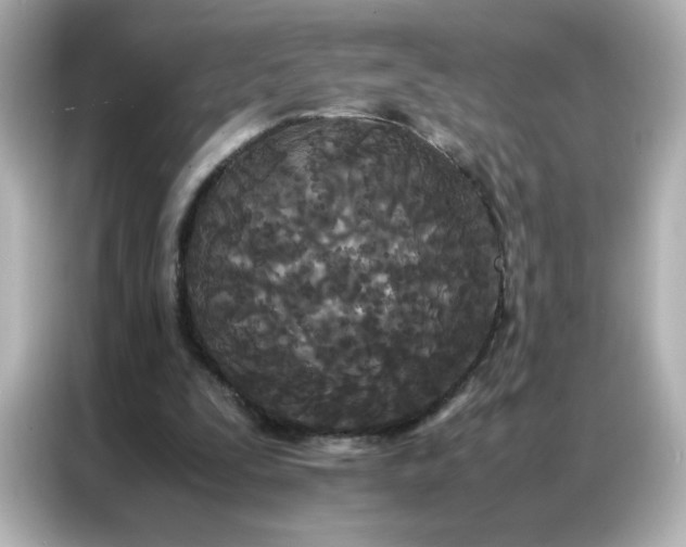 X0000086920295200704301102