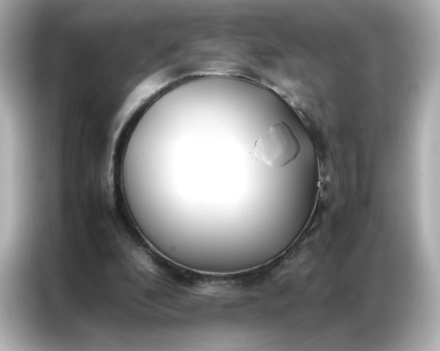 X0000086920296200704301102