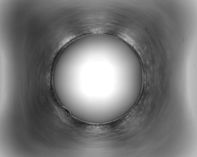 X0000086920297200704301102
