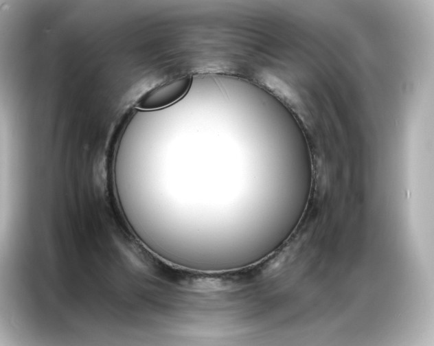 X0000086920298200704301102
