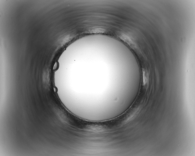 X0000086920300200704301102