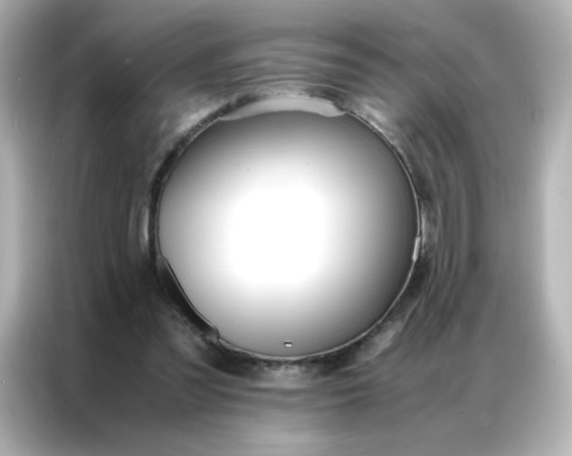 X0000086920301200704301102