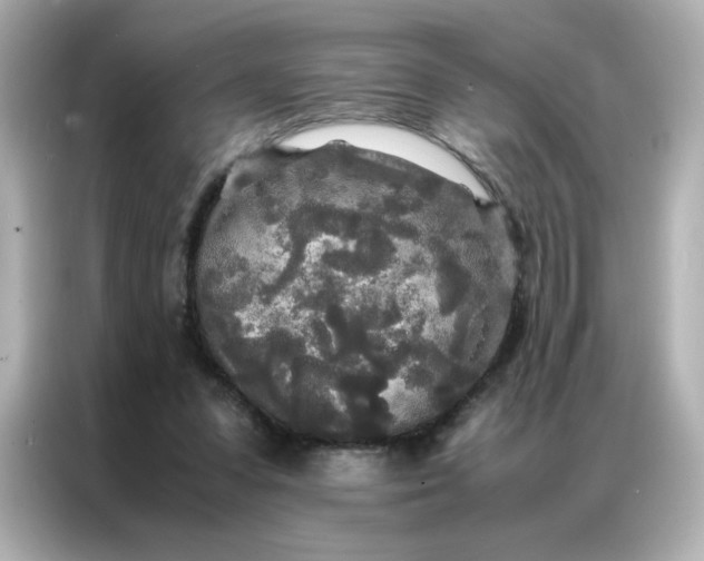 X0000086920303200704301102