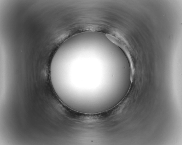 X0000086920305200704301102