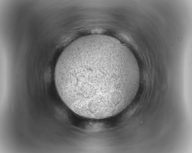 X0000086920311200704301102