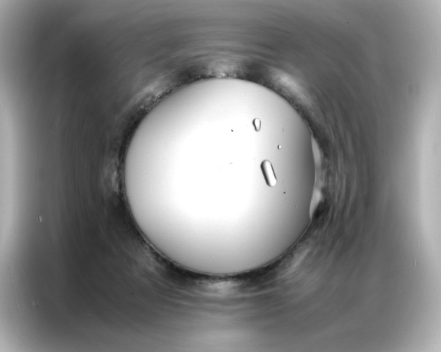 X0000086920313200704301102