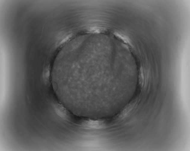 X0000086920314200704301102