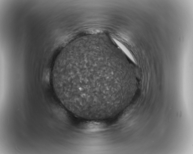 X0000086920315200704301102