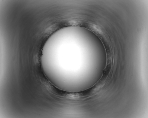 X0000086920317200704301102