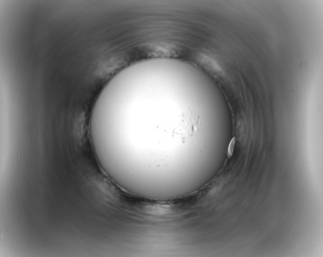 X0000086920318200704301102