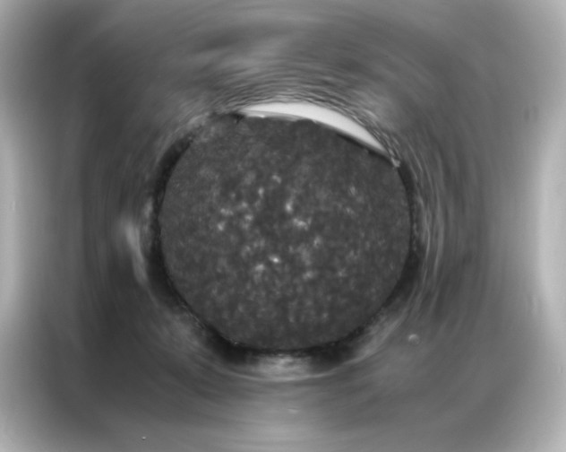 X0000086920319200704301102