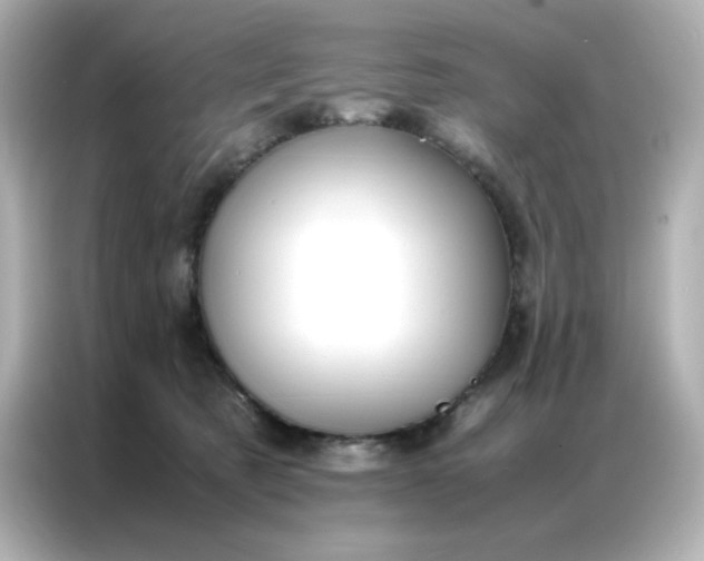 X0000086920321200704301102