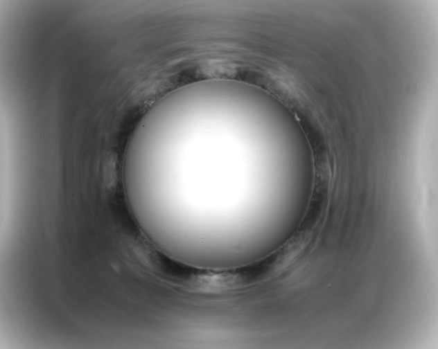 X0000086920323200704301102