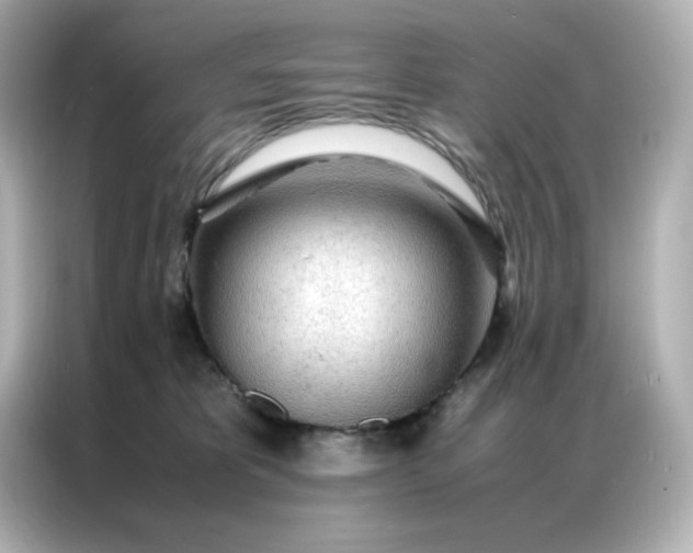 X0000086920325200704301102