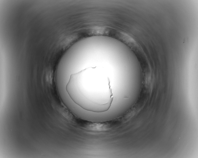 X0000086920326200704301102